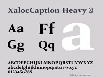 XalocCaption-Heavy ☞ Version 1.000;com.myfonts.easy.tiponautas.xaloc.heavy.wfkit2.version.4oNA Font Sample