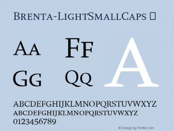 Brenta-LightSmallCaps ☞ Version 1.001;PS 1.000;hotconv 1.0.72;makeotf.lib2.5.5900;com.myfonts.easy.ludwiguebele.brenta.light-sc.wfkit2.version.4oN3图片样张