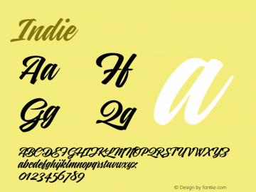 Indie ☞ 1.000;com.myfonts.easy.argentina-lian-types.indie.regular.wfkit2.version.4oBp图片样张