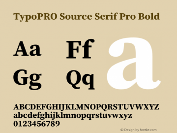 TypoPRO Source Serif Pro Bold Version 1.017;PS 1.0;hotconv 1.0.79;makeotf.lib2.5.61930图片样张