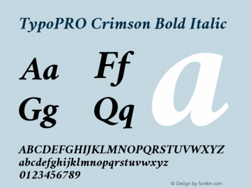 TypoPRO Crimson Bold Italic Version 0.8图片样张