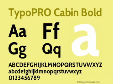 TypoPRO Cabin Bold Version 1.006 Font Sample