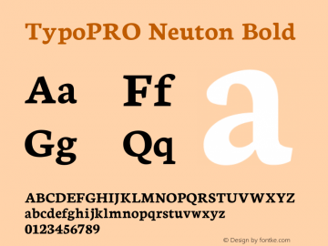 TypoPRO Neuton Bold Version 1.46图片样张