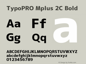 TypoPRO Mplus 2C Bold Version 1.059图片样张