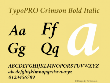 TypoPRO Crimson Bold Italic Version 0.8图片样张