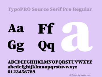 TypoPRO Source Serif Pro Regular Version 1.017;PS 1.0;hotconv 1.0.79;makeotf.lib2.5.61930图片样张