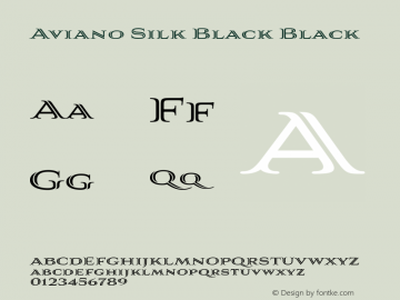 Aviano Silk Black Black Version 1.000;PS 001.001;hotconv 1.0.56图片样张