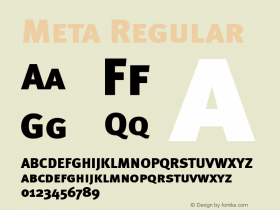 Meta Regular 004.301图片样张