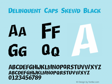 Delinquent Caps Skewd Black 1999; 1.1图片样张