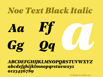 Noe Text Black Italic Version 1.000图片样张