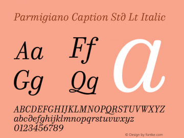 Parmigiano Caption Std Lt Italic Version 1.0; 2014 Font Sample