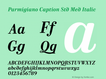 Parmigiano Caption Std Med Italic Version 1.0; 2014图片样张