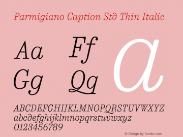 Parmigiano Caption Std Thin Italic Version 1.0; 2014图片样张