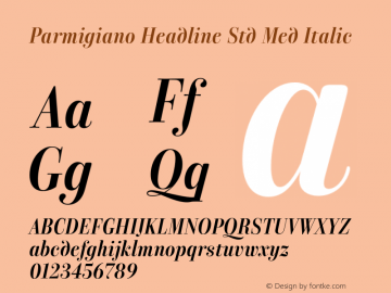 Parmigiano Headline Std Med Italic Version 1.0; 2014图片样张