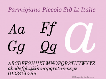 Parmigiano Piccolo Std Lt Italic Version 1.0; 2014图片样张