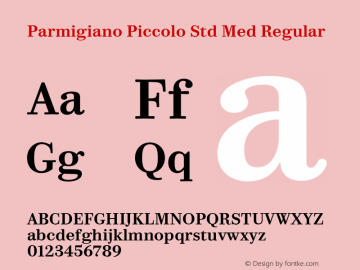 Parmigiano Piccolo Std Med Regular Version 1.0; 2014 Font Sample