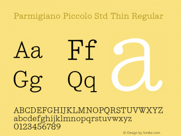 Parmigiano Piccolo Std Thin Regular Version 1.0; 2014 Font Sample