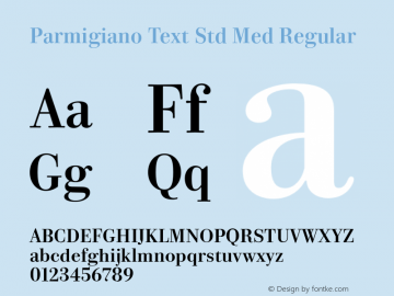 Parmigiano Text Std Med Regular Version 1.0; 2014图片样张