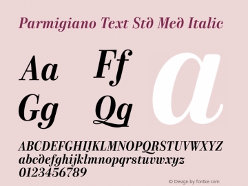 Parmigiano Text Std Med Italic Version 1.0; 2014图片样张