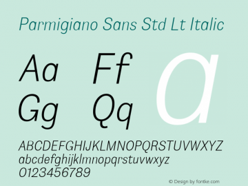 Parmigiano Sans Std Lt Italic Version 1.0; 2014 Font Sample