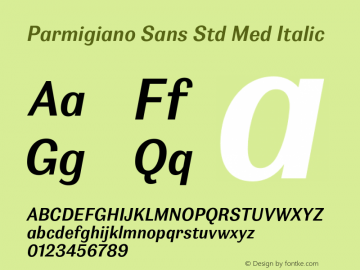 Parmigiano Sans Std Med Italic Version 1.0; 2014图片样张