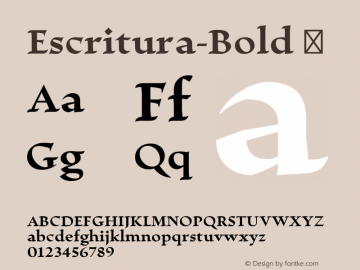 Escritura-Bold ☞ Version 1.000;com.myfonts.easy.rsantos.escritura.bold.wfkit2.version.4p4J Font Sample