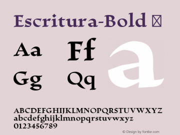 Escritura-Bold ☞ Version 1.000;com.myfonts.easy.rsantos.escritura.bold.wfkit2.version.4p4J Font Sample