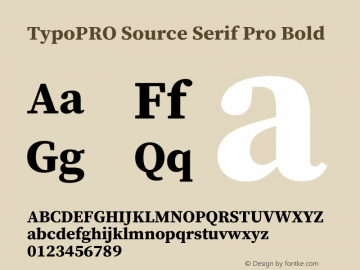 TypoPRO Source Serif Pro Bold Version 1.017;PS 1.0;hotconv 1.0.79;makeotf.lib2.5.61930图片样张