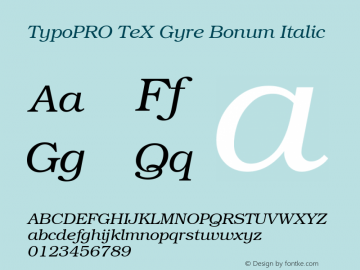 TypoPRO TeX Gyre Bonum Italic Version 2.004;PS 2.004;hotconv 1.0.49;makeotf.lib2.0.14853 Font Sample