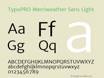 TypoPRO Merriweather Sans Light Version 1.003; ttfautohint (v0.93.8-669f) -l 7 -r 28 -G 0 -x 13 -w 