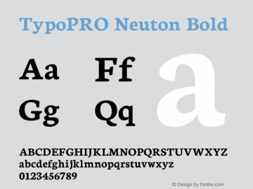 TypoPRO Neuton Bold Version 1.46图片样张