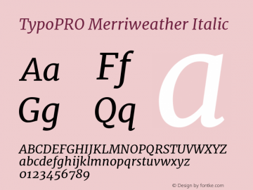 TypoPRO Merriweather Italic Version 1.005; ttfautohint (v0.97) -l 13 -r 13 -G 200 -x 24 -f dflt -w 