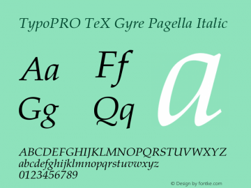 TypoPRO TeX Gyre Pagella Italic Version 2.004;PS 2.004;hotconv 1.0.49;makeotf.lib2.0.14853 Font Sample