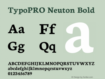 TypoPRO Neuton Bold Version 1.46图片样张