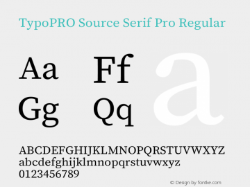 TypoPRO Source Serif Pro Regular Version 1.017;PS 1.0;hotconv 1.0.79;makeotf.lib2.5.61930图片样张