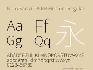 Noto Sans CJK KR Medium Regular Version 1.004;PS 1.004;hotconv 1.0.82;makeotf.lib2.5.63406 Font Sample