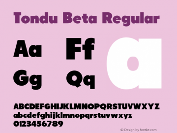 Tondu Beta Regular Version 1.000 Font Sample