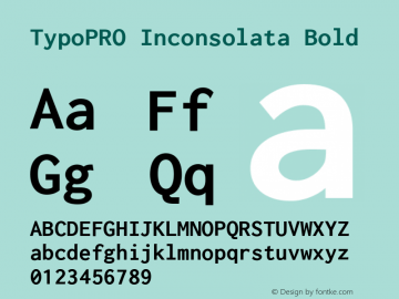 TypoPRO Inconsolata Bold Version 1.015; ttfautohint (v0.92) -l 8 -r 50 -G 200 -x 14 -w 