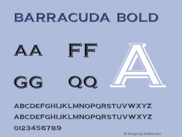 Barracuda Bold 1.000图片样张