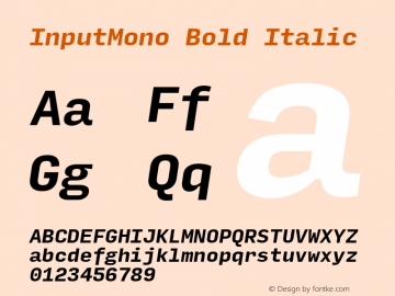InputMono Bold Italic Version 0.000;PS 0.0;hotconv 1.0.72;makeotf.lib2.5.5900 Font Sample