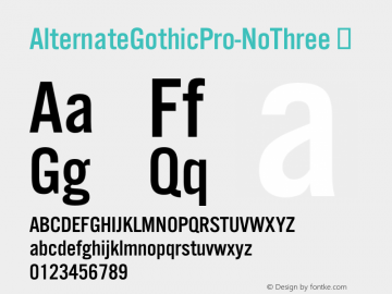 AlternateGothicPro-NoThree ☞ Version 001.005 2013;com.myfonts.easy.ef.alternate-gothic.ef-no-three.wfkit2.version.4pR1图片样张