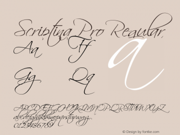 Scriptina Pro Regular Version 12.000 Font Sample