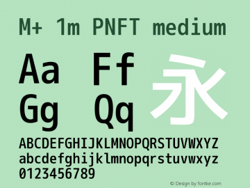 M+ 1m PNFT medium Version 1.018图片样张