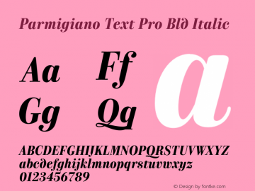Parmigiano Text Pro Bld Italic Version 1.0; 2014 Font Sample