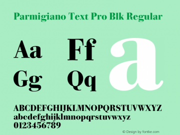 Parmigiano Text Pro Blk Regular Version 1.0; 2014图片样张