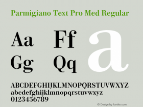 Parmigiano Text Pro Med Regular Version 1.0; 2014 Font Sample