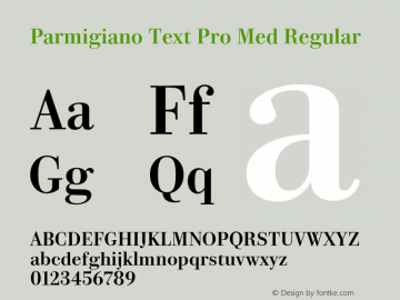 Parmigiano Text Pro Med Regular Version 1.0; 2014图片样张