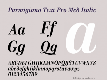 Parmigiano Text Pro Med Italic Version 1.0; 2014 Font Sample