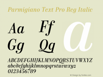 Parmigiano Text Pro Reg Italic Version 1.0; 2014 Font Sample