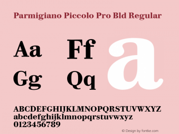 Parmigiano Piccolo Pro Bld Regular Version 1.0; 2014 Font Sample
